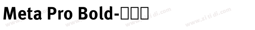 Meta Pro Bold字体转换